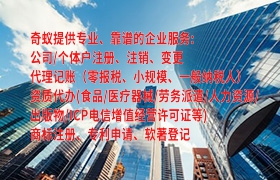 广东<a href='https://www.qiyiqifu.cn/'>代理记账</a>是什么？