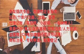 广东<a href='https://www.qiyiqifu.cn/'>一般纳税人零报税</a>代办及费用解析